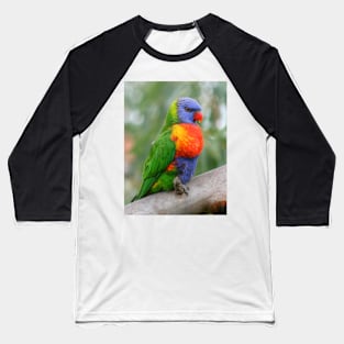 Young Rainbow Baseball T-Shirt